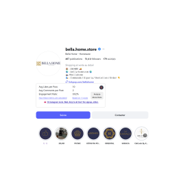 Bella Home – E-commerce Shopify à relancer – 140 336 visites/an – Sans stock