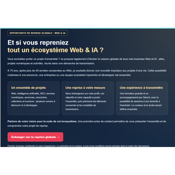 DesEurosDeChezVous.fr — Site dédié à la reprise de projets web pour développer une activité à domicile