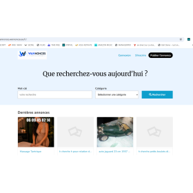 Wannonces — Ensemble de 3 sites : portail, petites annonces et rencontres