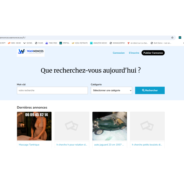 Wannonces — Ensemble de 3 sites : portail, petites annonces et rencontres